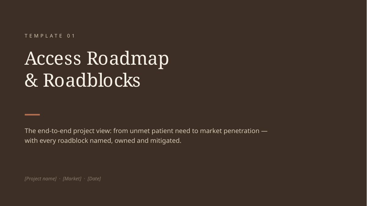 Access Roadmap & Roadblocks template cover